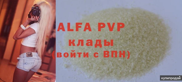 PSILOCYBIN Ладушкин