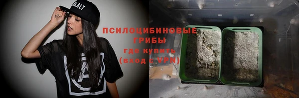 PSILOCYBIN Ладушкин