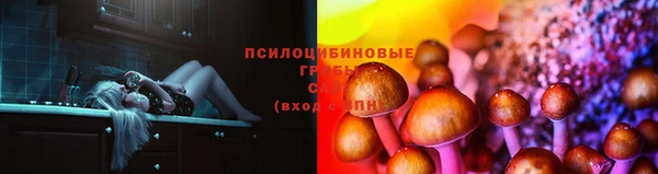 прущие грибы Лиски