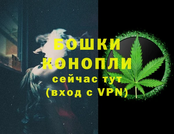 PSILOCYBIN Ладушкин